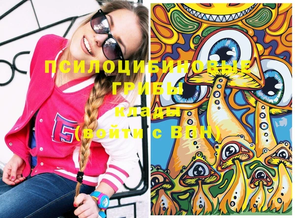 бошки Абдулино